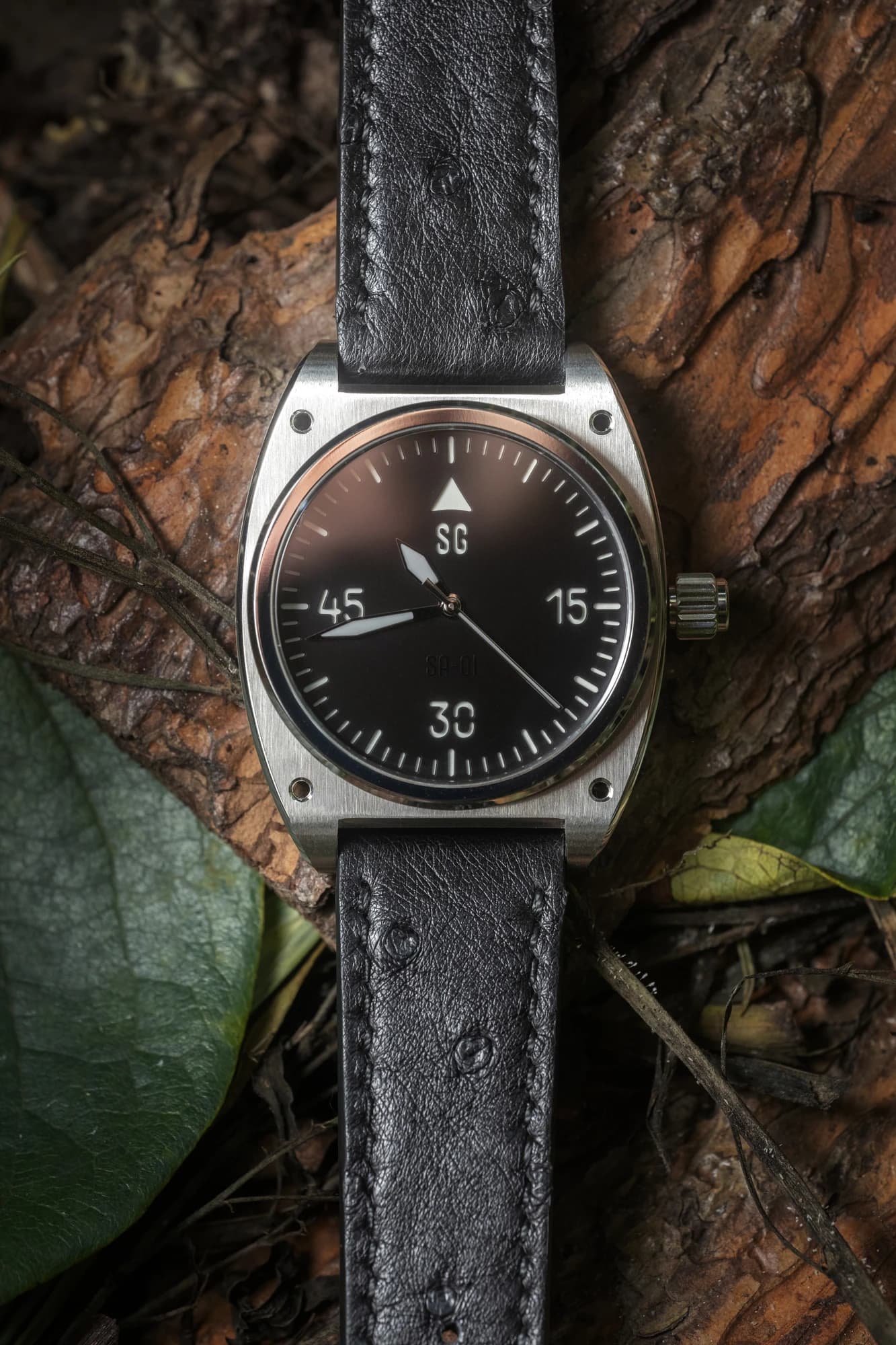 Specus watch and interchangeable modules